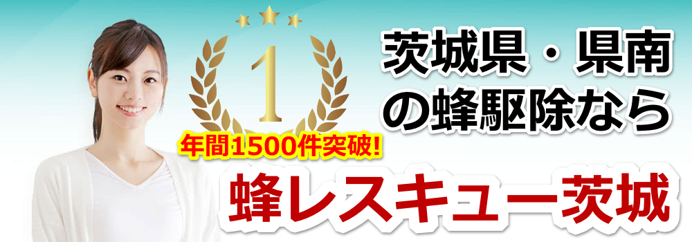 �I���X�L���[���b�I�̑��쏜�E�X�Y���o�`